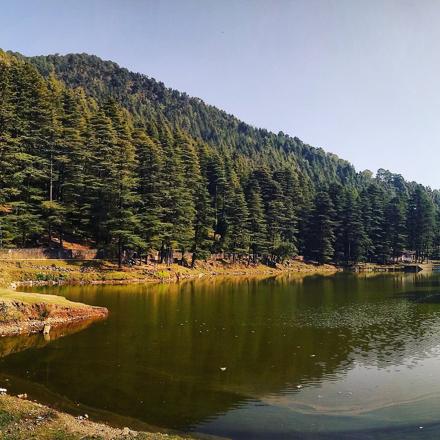 Mcleodganj Dhauladhar
