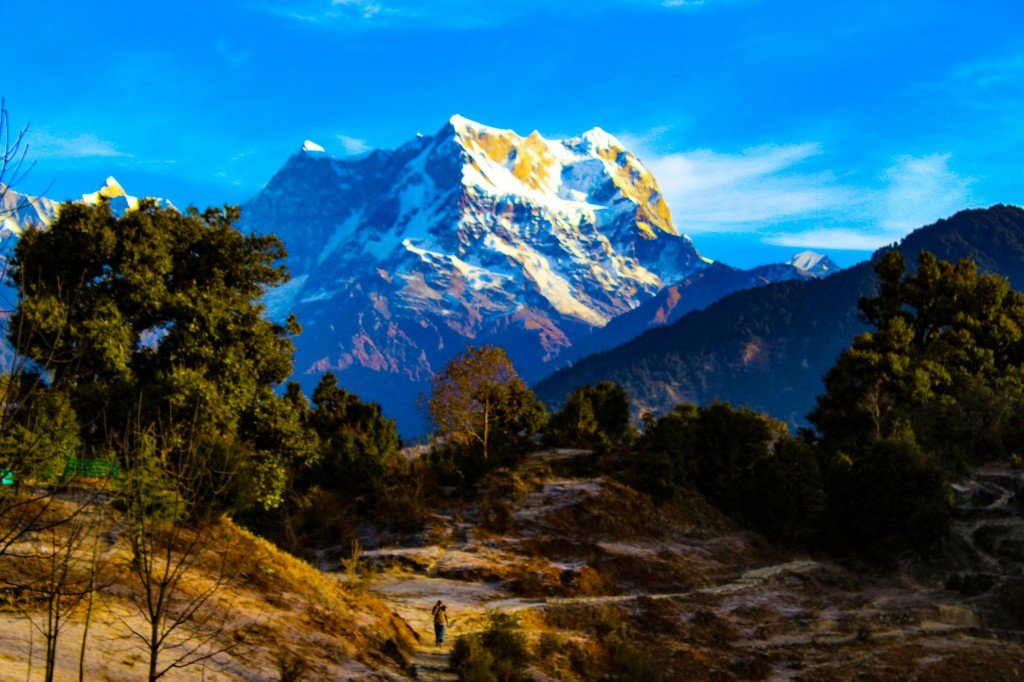 Chopta tour package